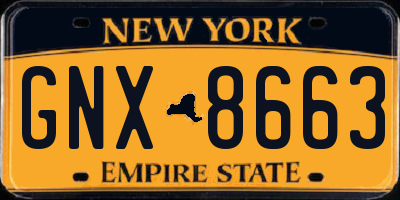 NY license plate GNX8663
