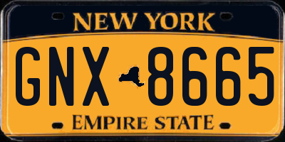 NY license plate GNX8665