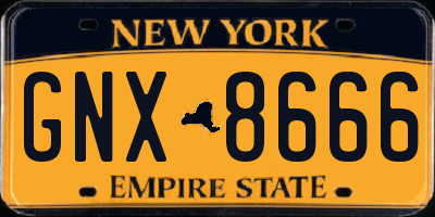NY license plate GNX8666