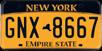 NY license plate GNX8667