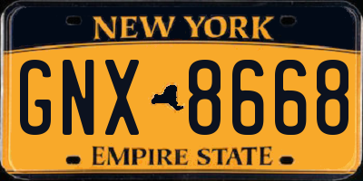 NY license plate GNX8668