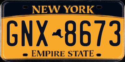 NY license plate GNX8673