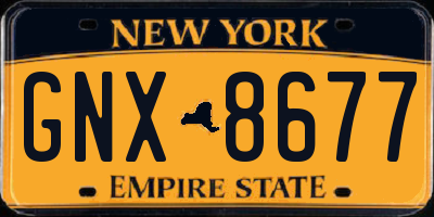 NY license plate GNX8677
