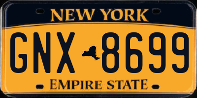 NY license plate GNX8699