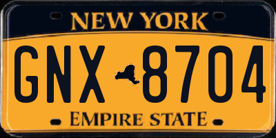 NY license plate GNX8704