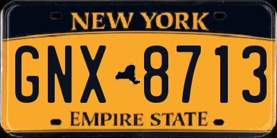 NY license plate GNX8713