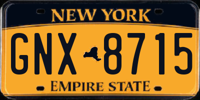 NY license plate GNX8715
