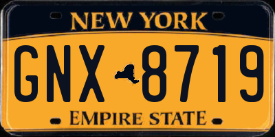 NY license plate GNX8719