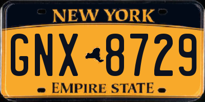 NY license plate GNX8729