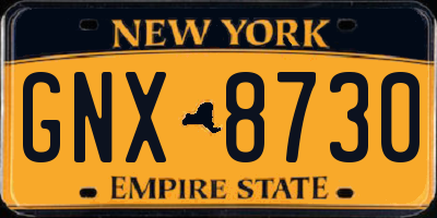 NY license plate GNX8730
