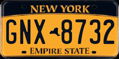 NY license plate GNX8732