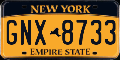 NY license plate GNX8733