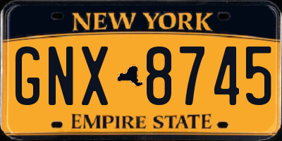 NY license plate GNX8745
