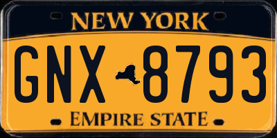 NY license plate GNX8793