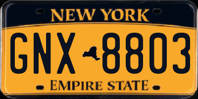 NY license plate GNX8803