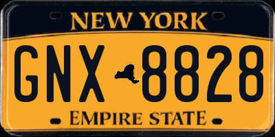 NY license plate GNX8828
