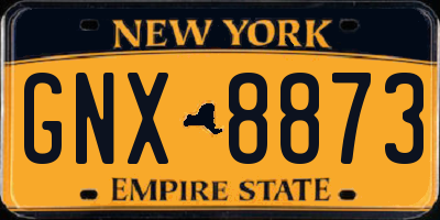 NY license plate GNX8873