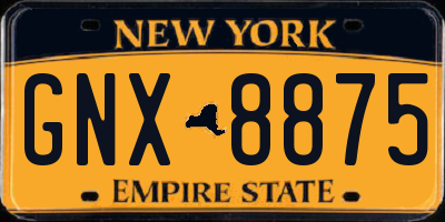 NY license plate GNX8875