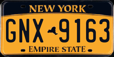 NY license plate GNX9163