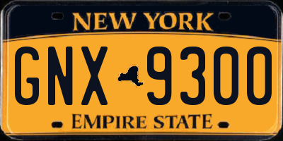 NY license plate GNX9300