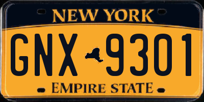 NY license plate GNX9301