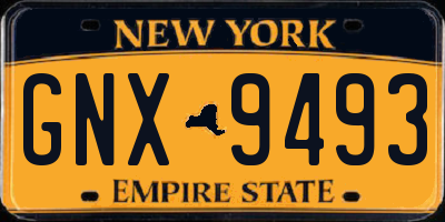 NY license plate GNX9493