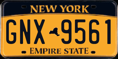 NY license plate GNX9561