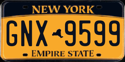 NY license plate GNX9599