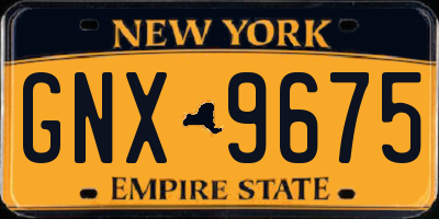 NY license plate GNX9675