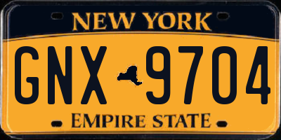 NY license plate GNX9704