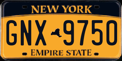 NY license plate GNX9750