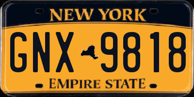 NY license plate GNX9818