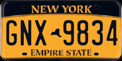 NY license plate GNX9834