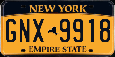 NY license plate GNX9918