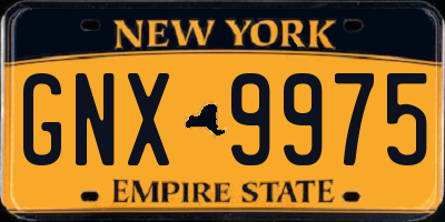 NY license plate GNX9975