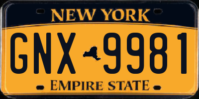 NY license plate GNX9981
