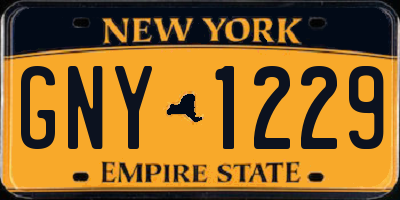 NY license plate GNY1229
