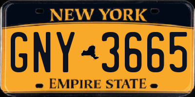 NY license plate GNY3665
