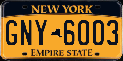 NY license plate GNY6003