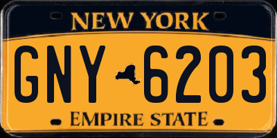 NY license plate GNY6203