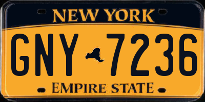 NY license plate GNY7236