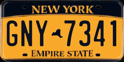NY license plate GNY7341