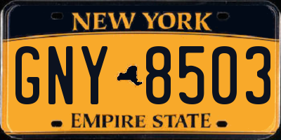 NY license plate GNY8503