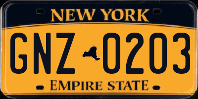 NY license plate GNZ0203