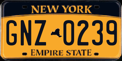 NY license plate GNZ0239