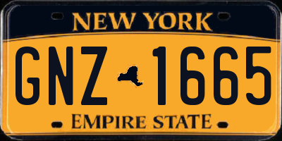 NY license plate GNZ1665