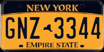 NY license plate GNZ3344