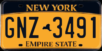 NY license plate GNZ3491