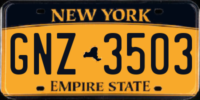 NY license plate GNZ3503