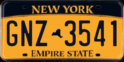 NY license plate GNZ3541